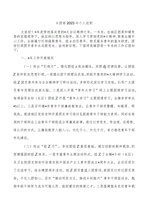乡团委2023年个人述职.docx