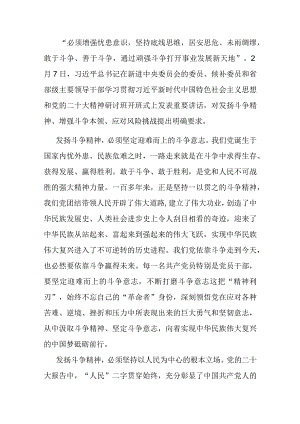 研讨发言：发扬斗争精神 勇于迎接挑战.docx
