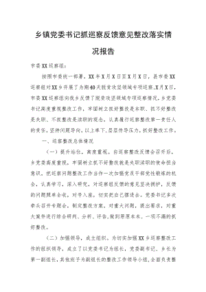 乡镇党委书记抓巡察反馈意见整改落实情况报告.docx