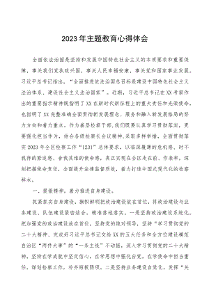 检察院2023年主题教育心得体会.docx
