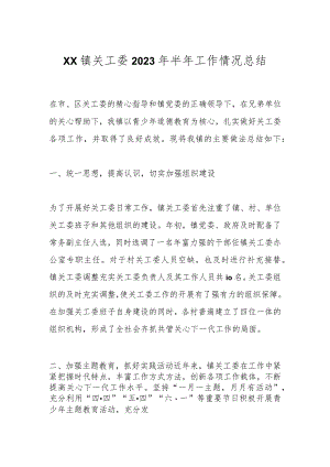 XX镇关工委2023年半年工作情况总结 .docx
