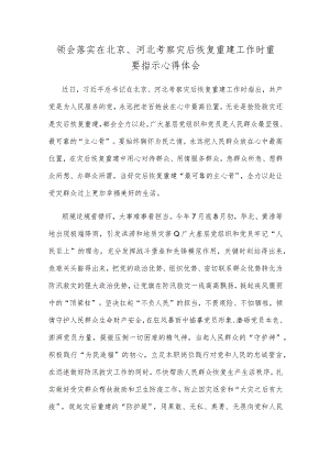 领会落实在北京、河北考察灾后恢复重建工作时重要指示心得体会.docx