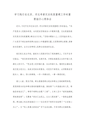 学习践行在北京、河北考察灾后恢复重建工作时重要指示心得体会 .docx