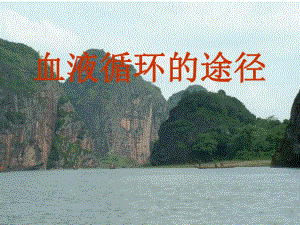 血液循环的途径.ppt