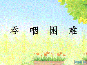 吞咽困难.ppt