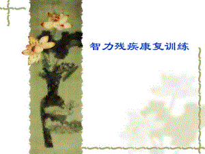智力残疾康复训练.ppt
