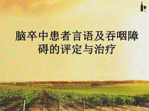 脑卒中患者言语及吞咽障碍的评定与治疗.ppt
