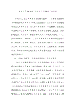 乡镇人大2023年工作总结及2024年工作计划.docx
