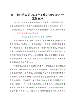 市生态环境分局2023年工作总结和2024年工作安排.docx