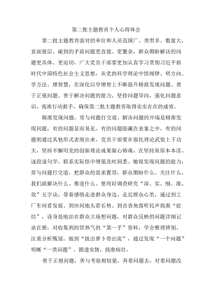 大学生学习《第二批主题教育》心得体会 汇编4份.docx