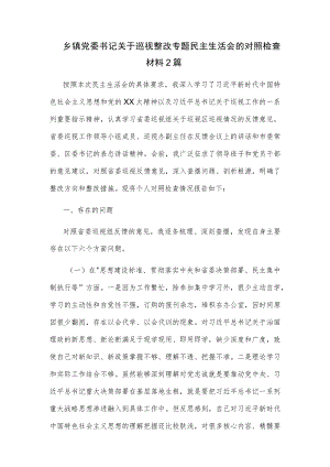 乡镇党委书记关于巡视整改专题民主生活会的对照检查材料2篇.docx