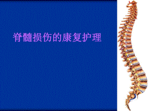脊髓损伤的康复护理 护理版.ppt