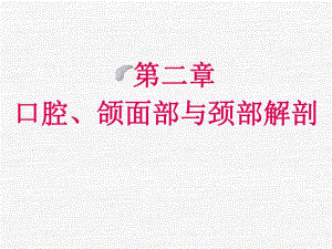 (口解)口腔、颌面部与颈部解剖1.ppt
