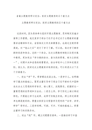 2篇主题教育研讨发言：抓好主题教育的五个着力点.docx