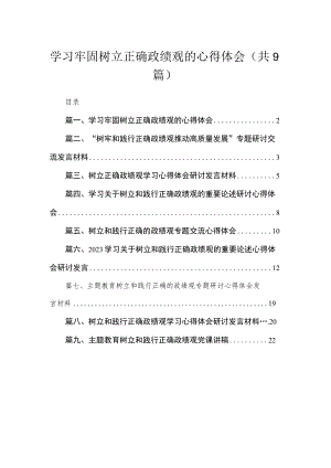 学习牢固树立正确政绩观的心得体会（共9篇）.docx