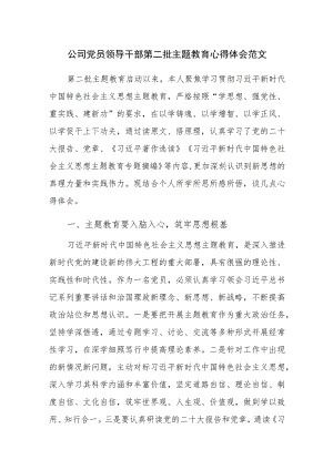 公司党员领导干部第二批主题教育心得体会范文.docx