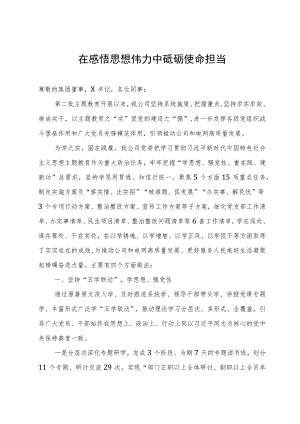 公司党委书记在集团主题教育推进会上的汇报发言.docx