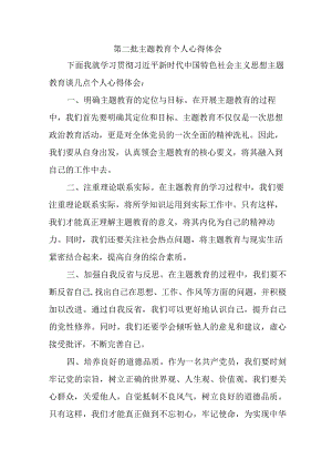 大学生学习第二批主题教育心得体会 合计4份.docx