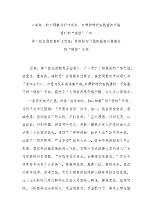 2篇第二批主题教育研讨发言：争做新时代能挑重担 可堪重任的“硬核”干部.docx