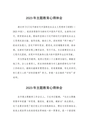 2023年幼儿园党员教师关于主题教育的学习感悟(12篇).docx