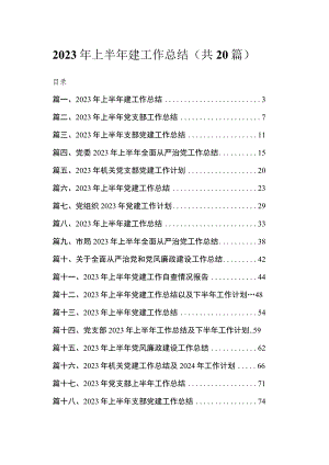 2023年上半年建工作总结（共20篇）.docx