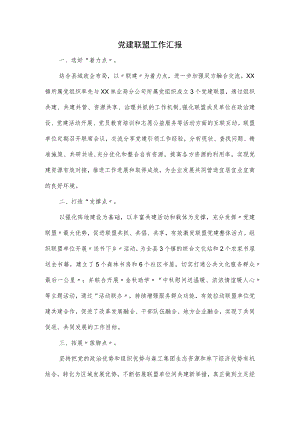 党建联盟工作汇报.docx