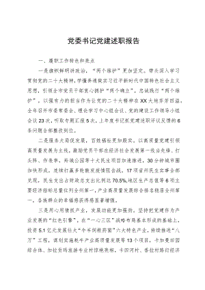 党委书记2023年党建述职报告.docx