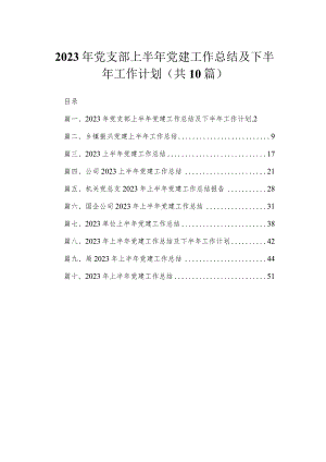 2023年党支部上半年党建工作总结及下半年工作计划（共10篇）.docx