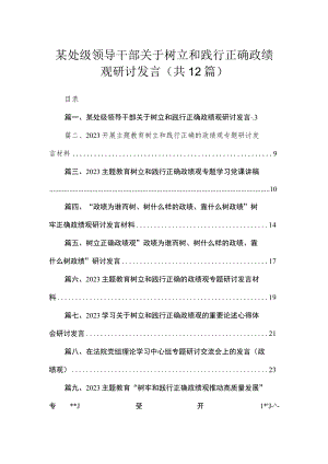 2023某处级领导干部关于树立和践行正确政绩观研讨发言最新版12篇合辑.docx