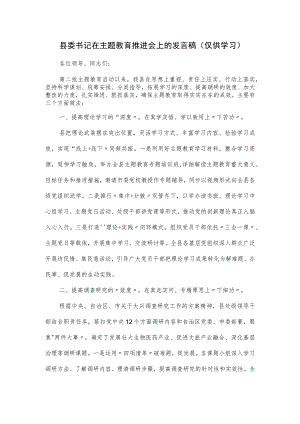 县委书记在主题教育推进会上的发言稿.docx