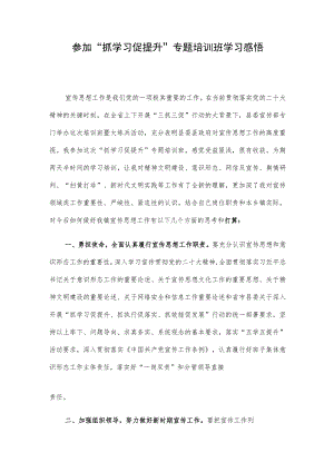 参加“抓学习促提升”专题培训班学习感悟.docx