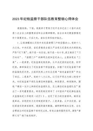 2023年全国纪检监察干部队伍教育整顿活动心得感悟七篇汇编.docx