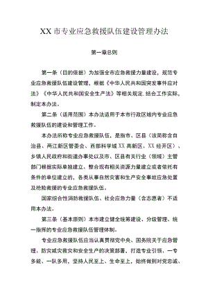 专业应急救援队伍建设管理办法.docx