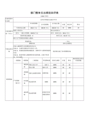 部门整体支出绩效自评表.docx