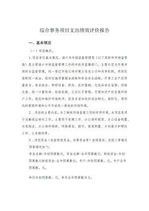综合事务项目支出绩效评价报告.docx