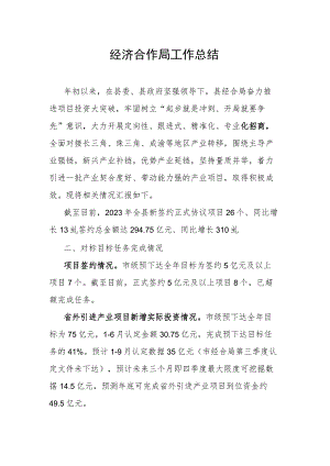 经济合作局工作总结.docx