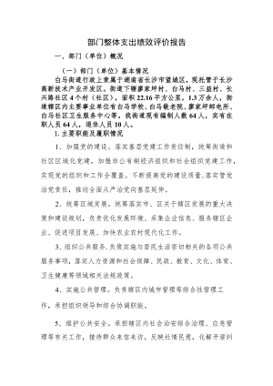 部门整体支出绩效评价报告.docx