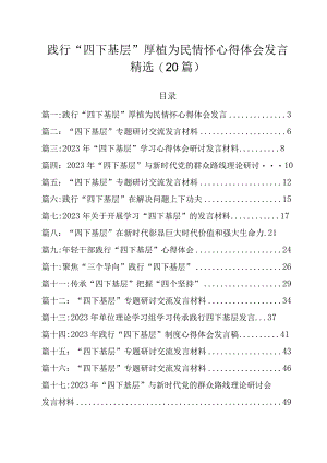践行“四下基层”厚植为民情怀心得体会发言精选（20篇）.docx