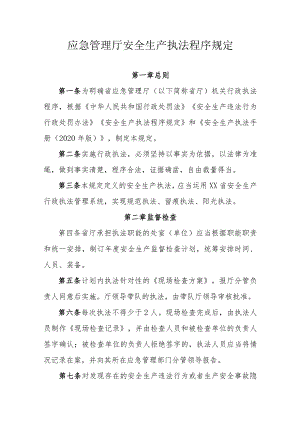 应急管理厅安全生产执法程序规定.docx