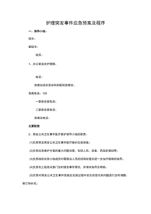 护理突发事件应急预案及程序.docx
