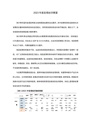 2023年度宏观经济展望.docx