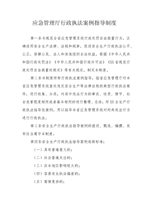 应急管理厅行政执法案例指导制度.docx