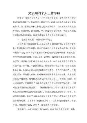 交流期间个人工作总结.docx