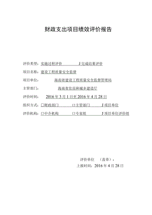 财政支出项目绩效评价报告.docx