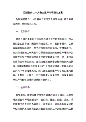 迎接党的二十大安全生产专项整治方案（12页）.docx