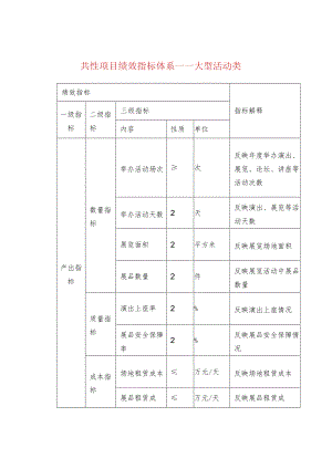 共性项目绩效指标体系——大型活动类.docx