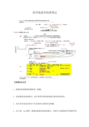 医学免疫学抗体笔记.docx