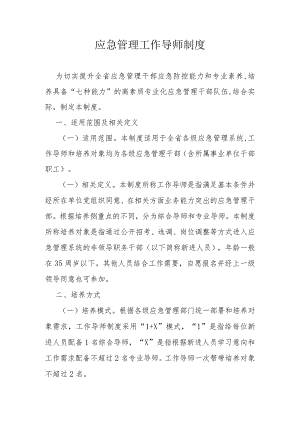应急管理工作导师制度.docx