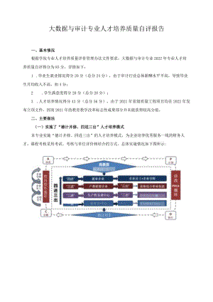 大数据与审计专业人才培养质量自评报告.docx