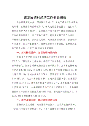 镇发展镇村经济工作专题报告.docx